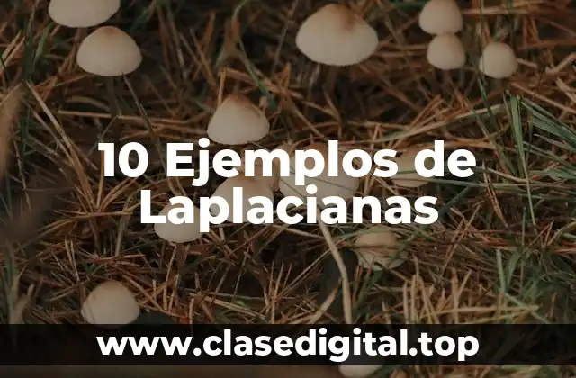 10 Ejemplos de Laplacianas