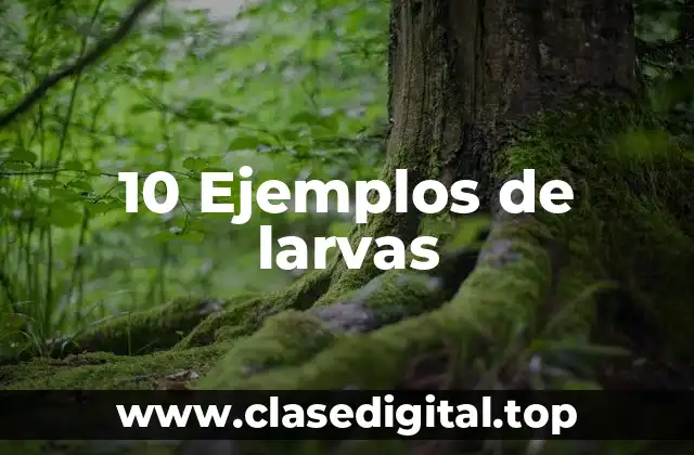 Ejemplos de larvas