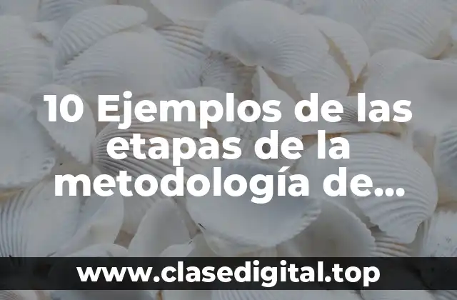10 Ejemplos de las etapas de la metodología de checkland