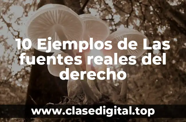 10 Ejemplos de Las fuentes reales del derecho