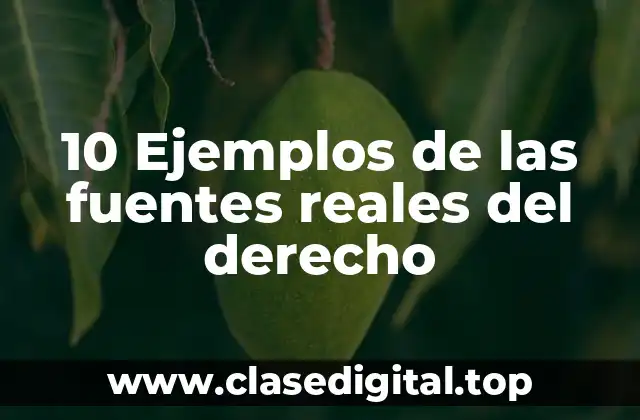Ejemplos de las fuentes reales del derecho