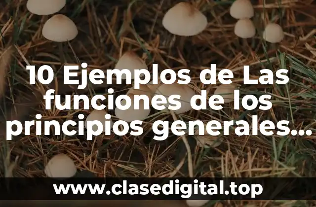 10 Ejemplos de Las funciones de los principios generales del derecho