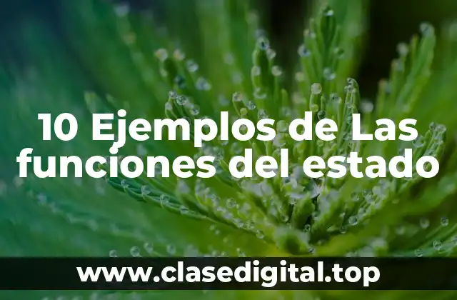 10 Ejemplos de Las funciones del estado