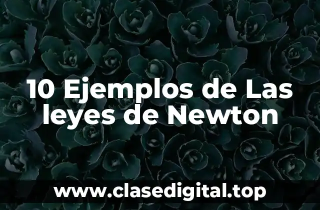 10 Ejemplos de Las leyes de Newton