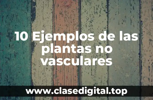 10 Ejemplos de las plantas no vasculares