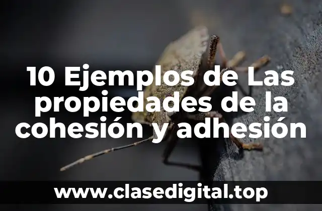 10 Ejemplos de Las propiedades de la cohesión y adhesión