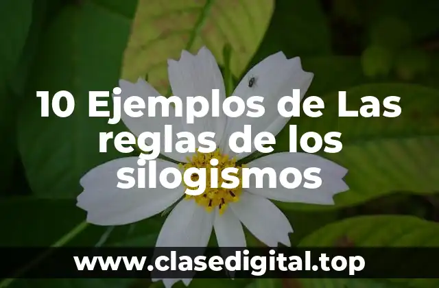 10 Ejemplos de Las reglas de los silogismos