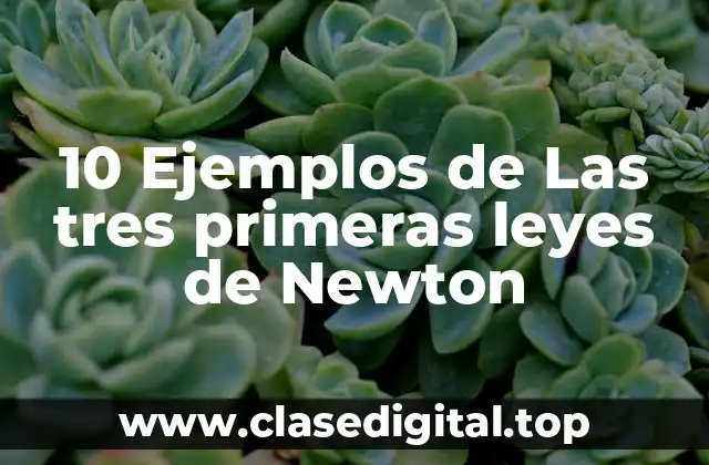 10 Ejemplos de Las tres primeras leyes de Newton