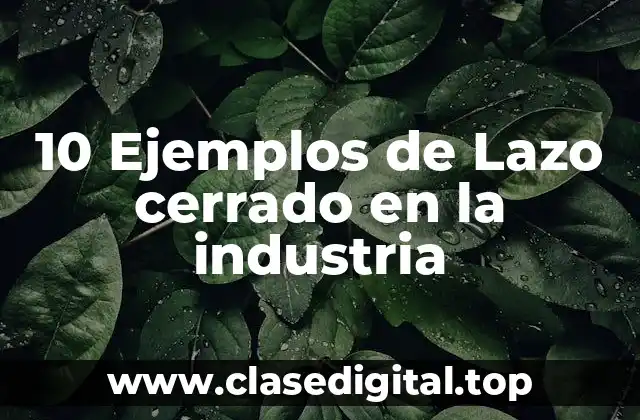 10 Ejemplos de Lazo cerrado en la industria