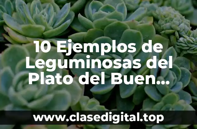 10 Ejemplos de Leguminosas del Plato del Buen Comer
