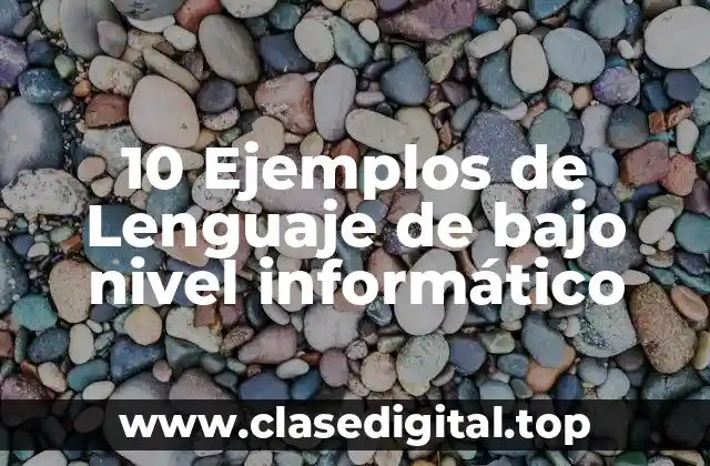 10 Ejemplos de Lenguaje de bajo nivel informático