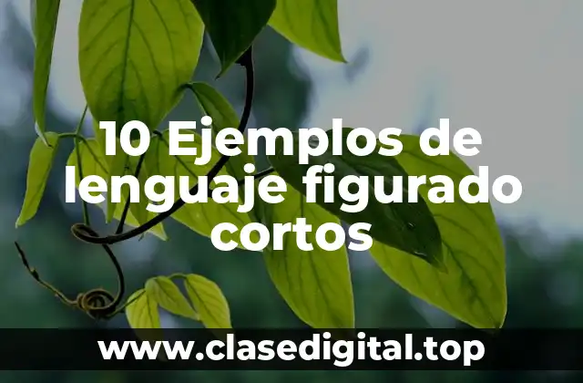 10 Ejemplos de lenguaje figurado cortos