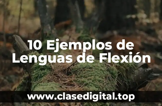 Ejemplos de lenguas de flexión