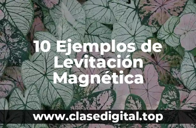 10 Ejemplos de Levitación Magnética