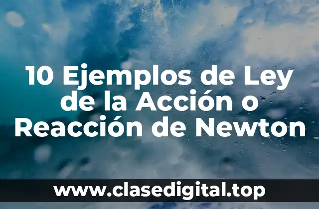 10 Ejemplos de Ley de la Acción o Reacción de Newton