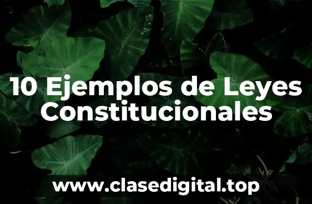 Ejemplos de Leyes Constitucionales