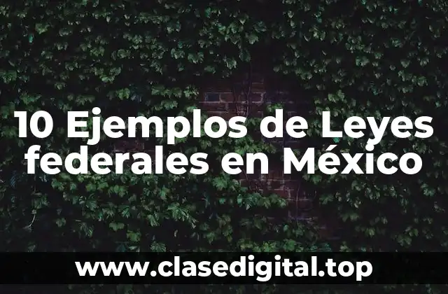 10 Ejemplos de Leyes federales en México