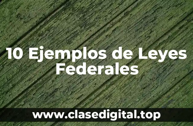 10 Ejemplos de Leyes Federales