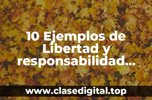 10 Ejemplos de Libertad y responsabilidad moral