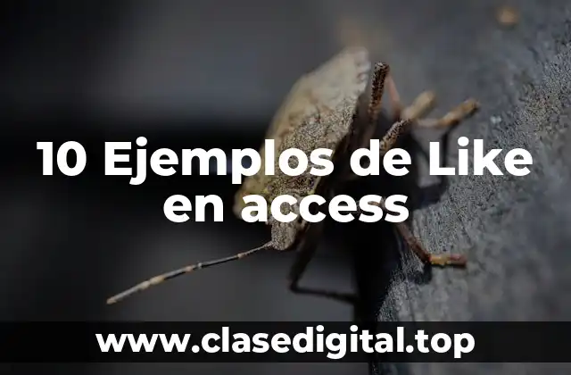 10 Ejemplos de Like en access