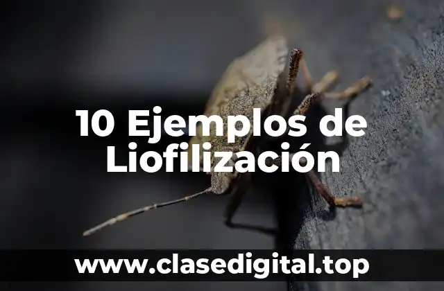 10 Ejemplos de Liofilización