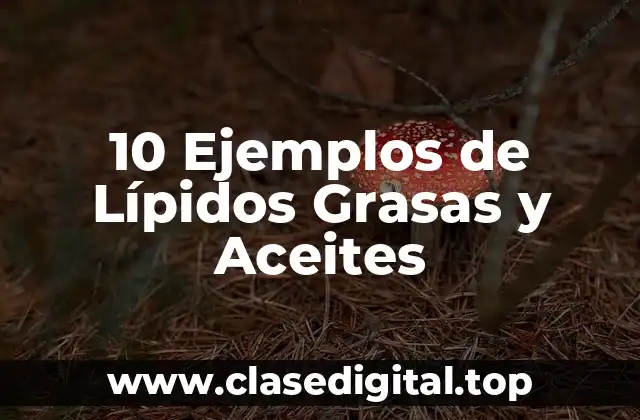 10 Ejemplos de Lípidos Grasas y Aceites