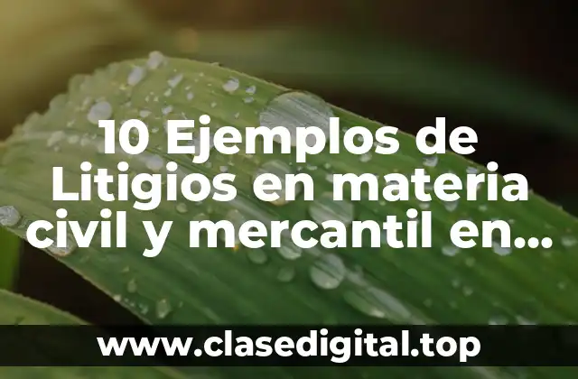 10 Ejemplos de Litigios en materia civil y mercantil en México