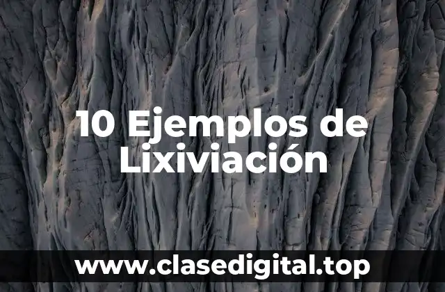 Ejemplos de Lixiviación