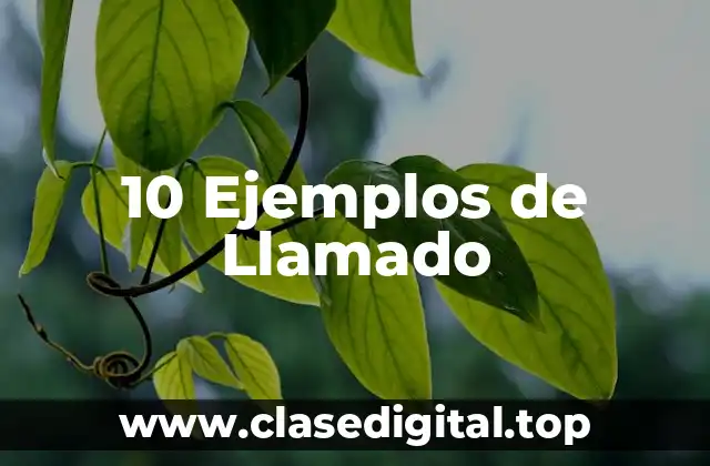 10 Ejemplos de Llamado