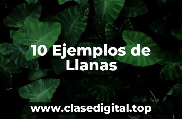 10 Ejemplos de Llanas