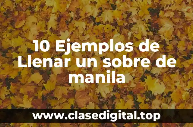10 Ejemplos de Llenar un sobre de manila
