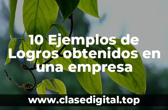 10 Ejemplos de Logros obtenidos en una empresa