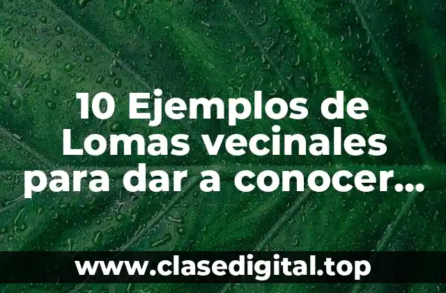 10 Ejemplos de Lomas vecinales para dar a conocer los logros