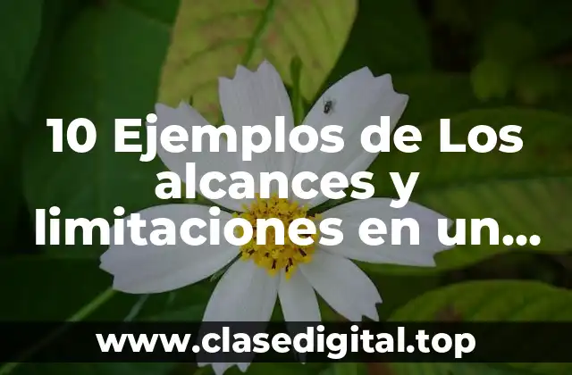 10 Ejemplos de Los alcances y limitaciones en un proyecto