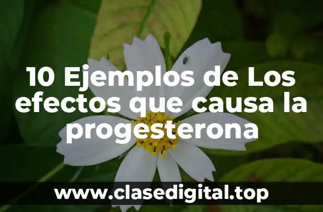 10 Ejemplos de Los efectos que causa la progesterona