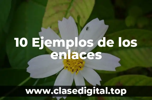 10 Ejemplos de los enlaces