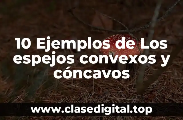 10 Ejemplos de Los espejos convexos y cóncavos