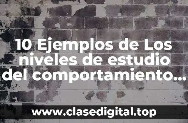10 Ejemplos de Los niveles de estudio del comportamiento organizacional