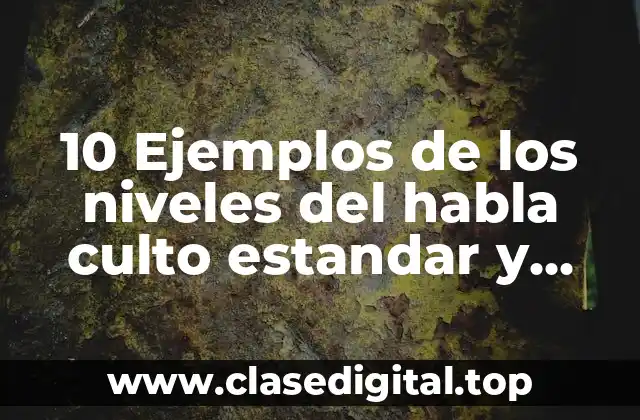 10 Ejemplos de los niveles del habla culto estandar y vulgar