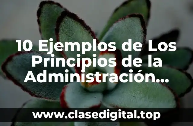 10 Ejemplos de Los Principios de la Administración según Fayol