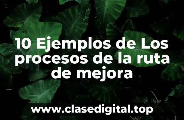 10 Ejemplos de Los procesos de la ruta de mejora