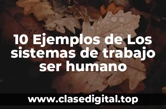 10 Ejemplos de Los sistemas de trabajo ser humano