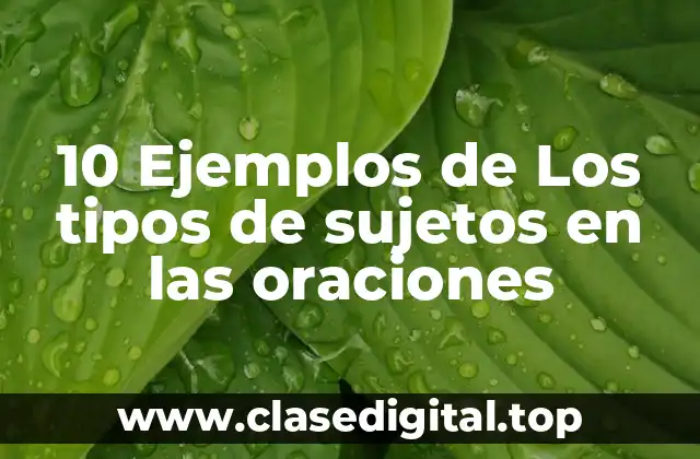 10 Ejemplos de Los tipos de sujetos en las oraciones