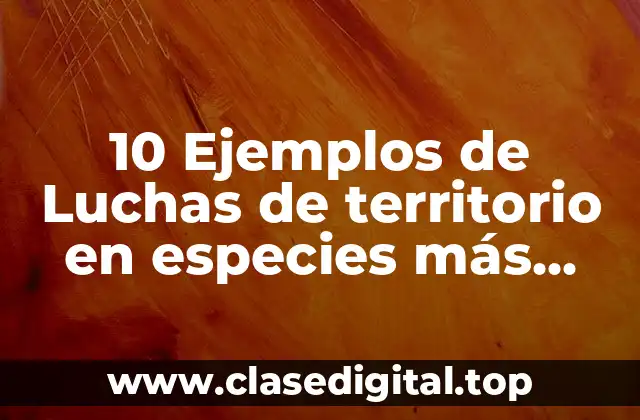 10 Ejemplos de Luchas de territorio en especies más comunes