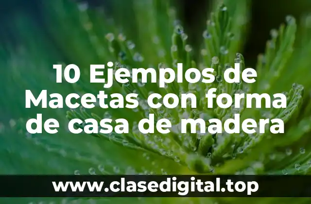 10 Ejemplos de Macetas con forma de casa de madera
