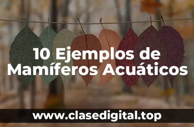 10 Ejemplos de Mamíferos Acuáticos