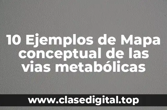 Ejemplos de mapa conceptual de las vias metabólicas
