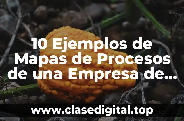 10 Ejemplos de Mapas de Procesos de una Empresa de Servicios