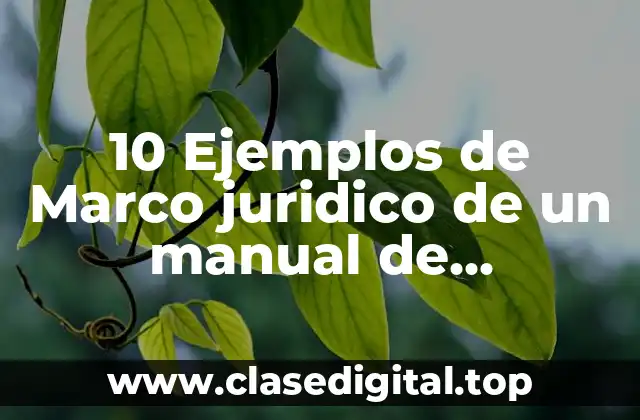 Ejemplos de marco jurídico de un manual de organizaciones