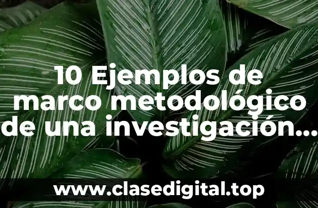 10 Ejemplos de marco metodológico de una investigación cualitativa